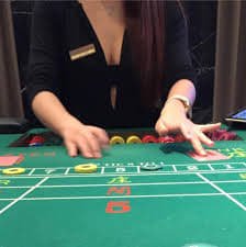 buffalo myanmar live casino evolution gaming pragmatic play sa gaming provider